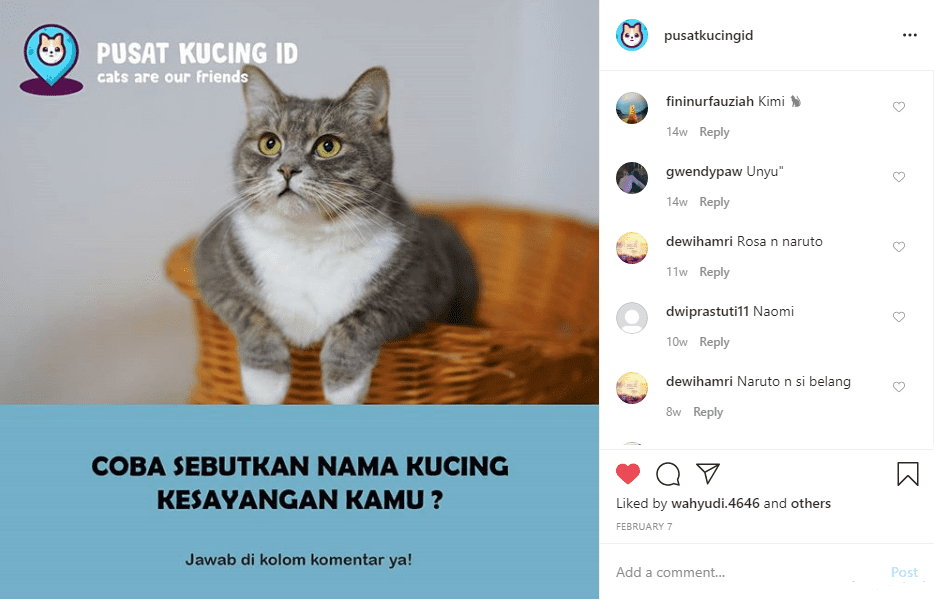 790 Nama Kucing Yang Sering Digunakan Oleh Orang Indonesia!